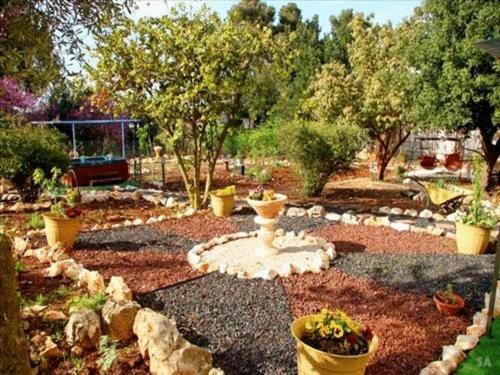 Safed Inn Dış mekan fotoğraf