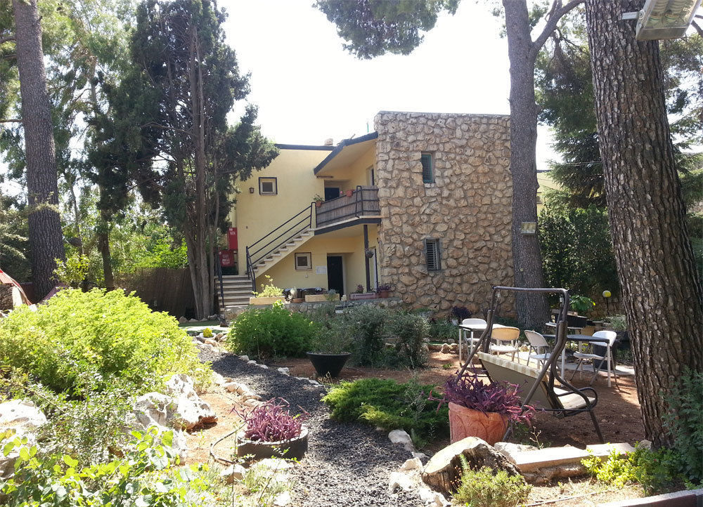 Safed Inn Dış mekan fotoğraf