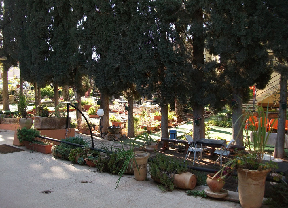 Safed Inn Dış mekan fotoğraf