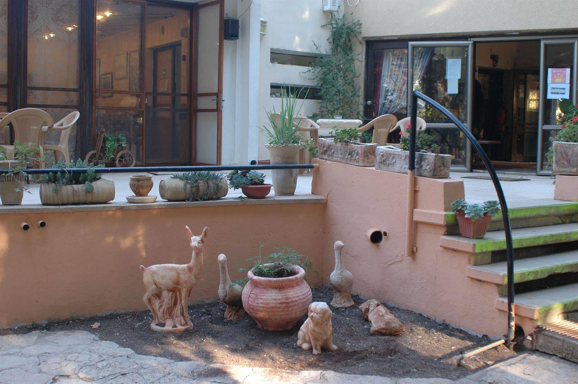 Safed Inn Dış mekan fotoğraf
